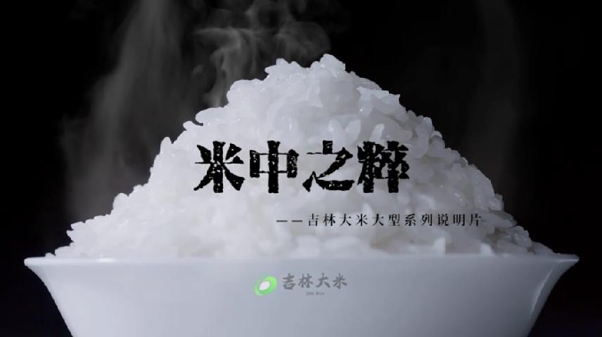 稻品-品種篇《米中之粹》