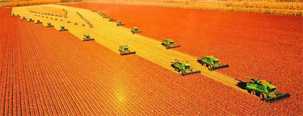 中國農業大省 糧食安全壓艙石：黑龍江農業全產業鏈招商 大項目在等你