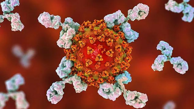 中國發布世衛召集的新冠病毒全球溯源研究中國部分國際合作紀事