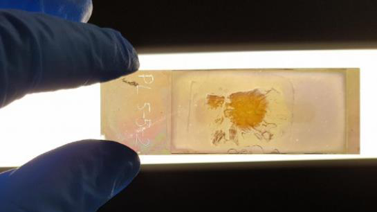 澳研發新型顯微鏡載玻片 可快速識別癌細胞