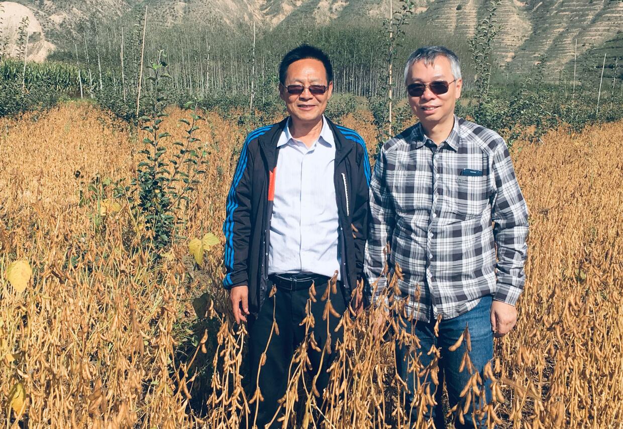 中大林漢明團隊助力國家保糧食安全 破解大豆基因協助農民增收