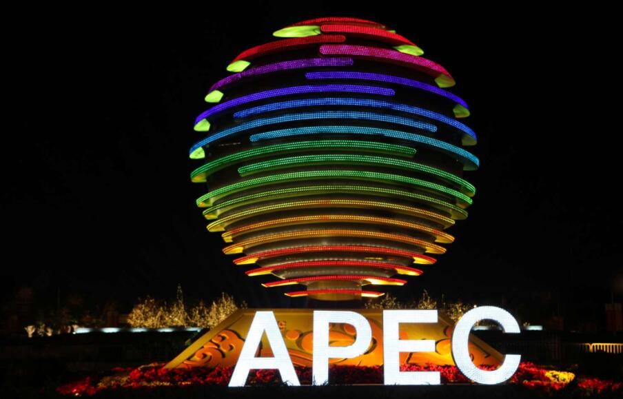 APEC領導人非正式會議強調合作應對挑戰推動區域經濟復蘇