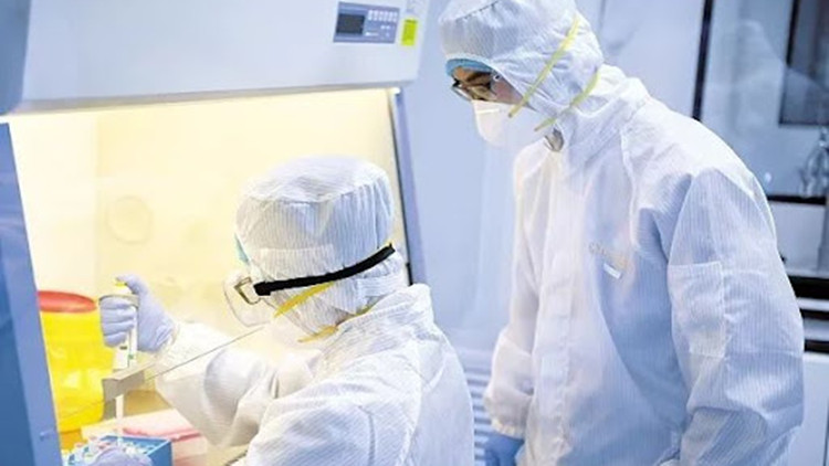 中國多種抗新冠病毒藥物進入臨床試驗階段