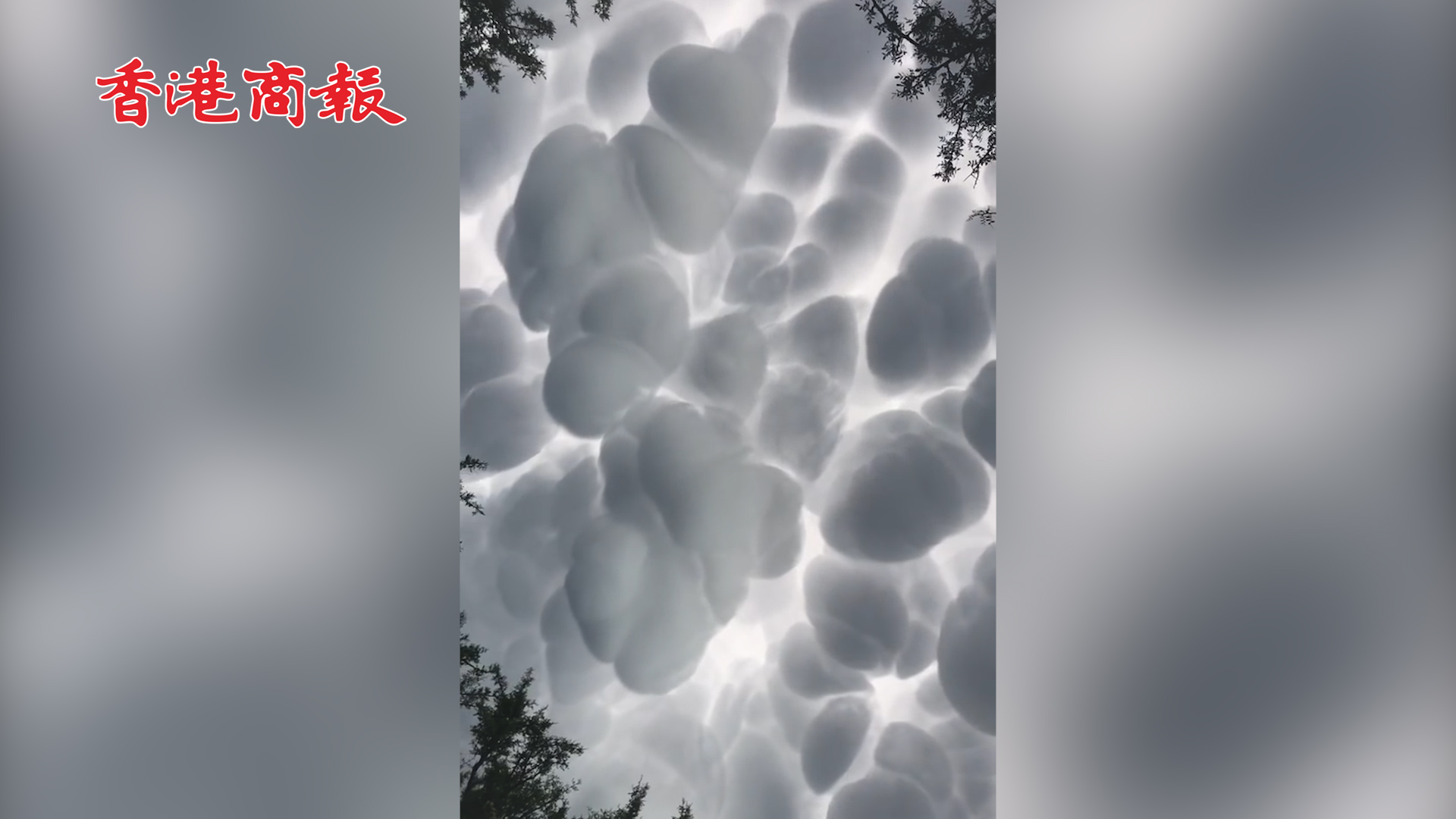 有片丨阿根廷居民拍到罕見乳狀雲 似「棉花球」堆滿天空