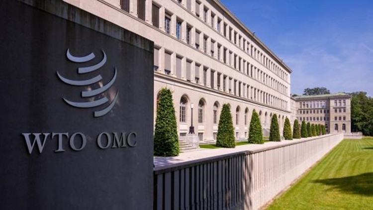 WTO第十二屆部長級會議（MC12）月底召開 漁業補貼、抗疫合作等議題受關注