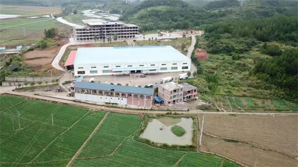 湖南新田蔬菜總產值超過18.5億元