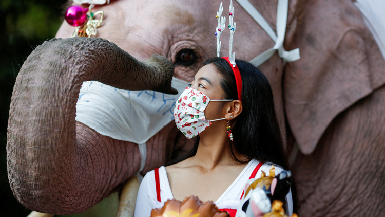 圖集 | 泰國大象扮聖誕老人 戴上口罩宣傳防疫及派禮物