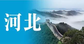 河北省若干措施推進自貿試驗區貿易投資便利化