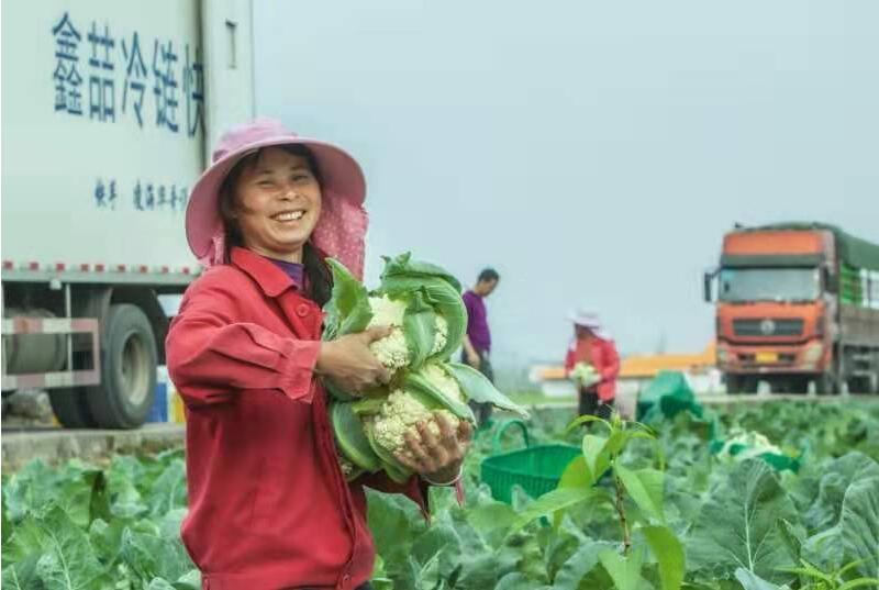 廣東首個全球商品交易平台韶關上線運營 助優質農產品「走出去」
