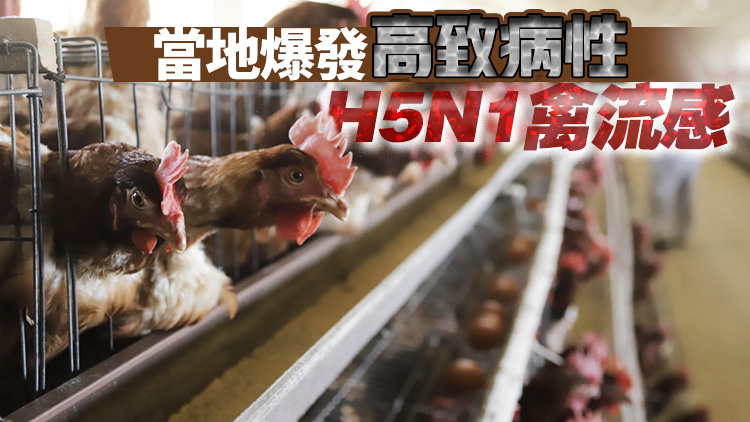 本港暫停進口法國部分地區禽肉及禽類產品