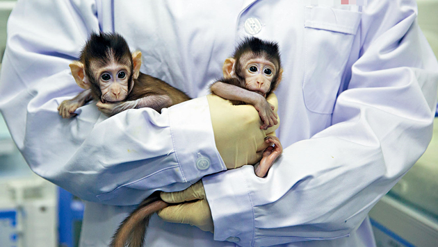 一項針對猴子的研究發現：可能無需Omicron專門疫苗