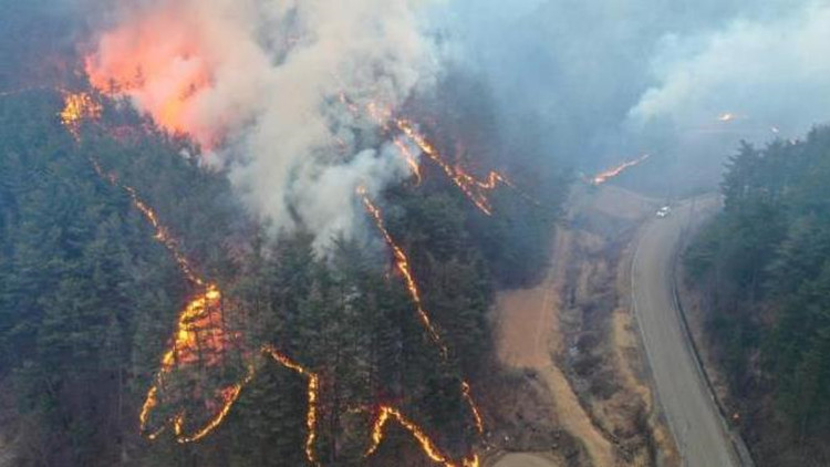 韓山火過火面積相當於3.3萬個足球場 打破歷史紀錄