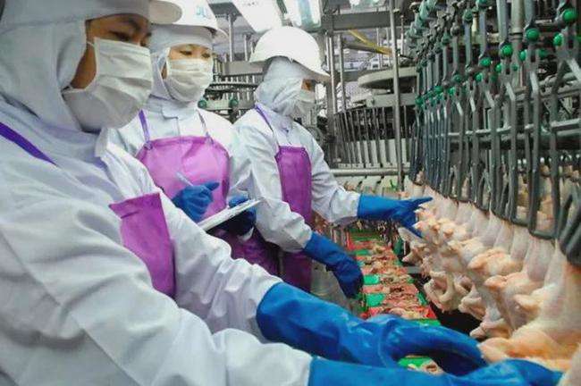 時隔18年 泰國恢復向沙特阿拉伯出口雞肉製品