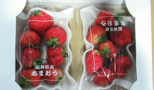 台灣地區又檢出9批日本鮮草莓農藥超標！半年已累計35批不合格