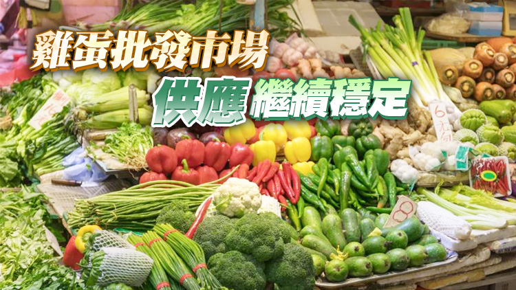 10日內地供港蔬菜逾2500公噸 菜芯批發價每斤8.2元