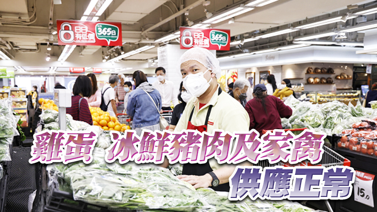 11日內地供港蔬菜逾2400公噸 菜芯批發價每斤7.7元