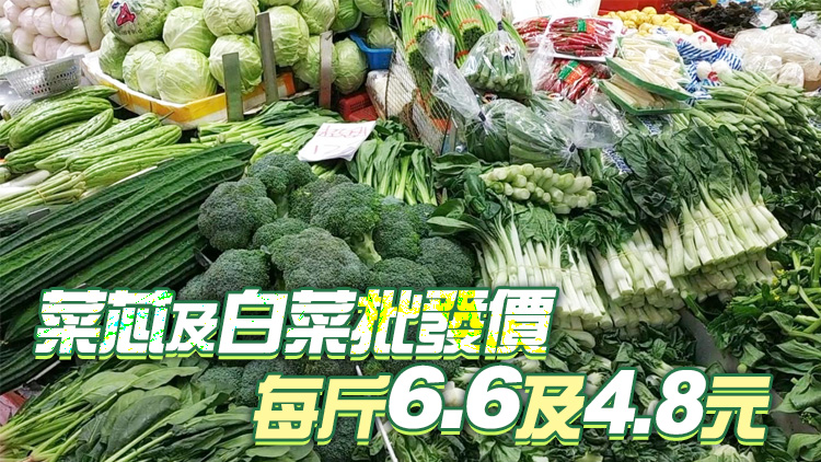 6日內地供港蔬菜逾2600公噸 鮮活食品供應充足穩定