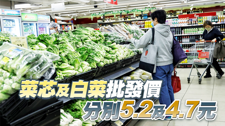 10日內地供港蔬菜2500公噸 鮮活食品供應充足穩定