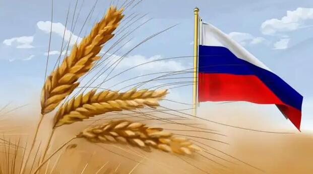 普京：俄羅斯2022年糧食產量預計將達1.3億噸 創歷史紀錄