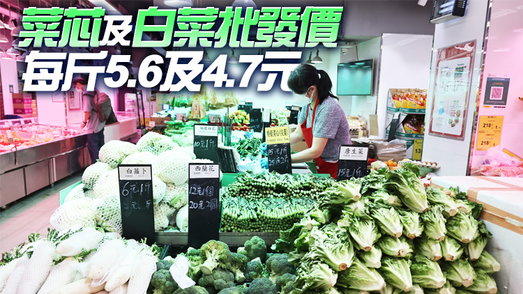20日內地供港蔬菜逾2600公噸 鮮活食品供應充足穩定