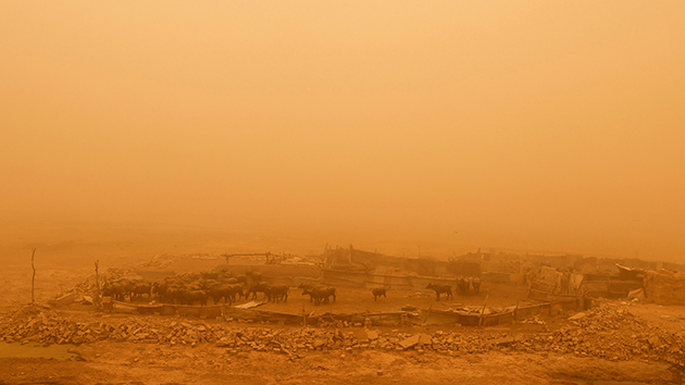 圖集｜伊拉克多地惡劣沙塵暴天氣持續