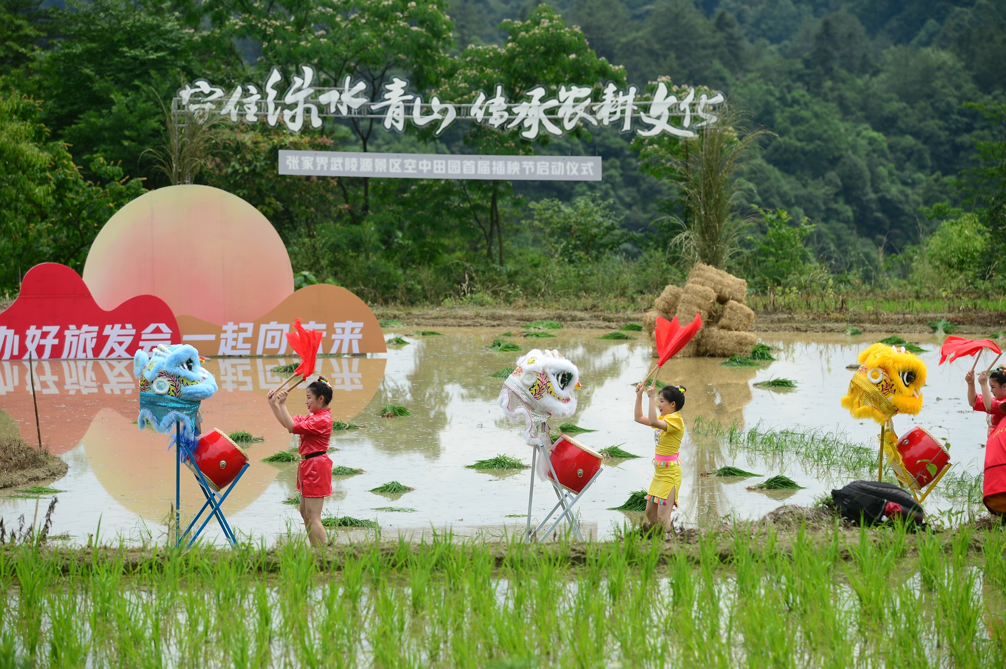 湖南：張家界空中田園舉辦首屆插秧節