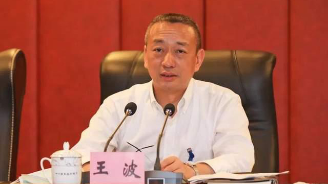 四川省生態環境廳黨組書記、廳長王波接受審查調查