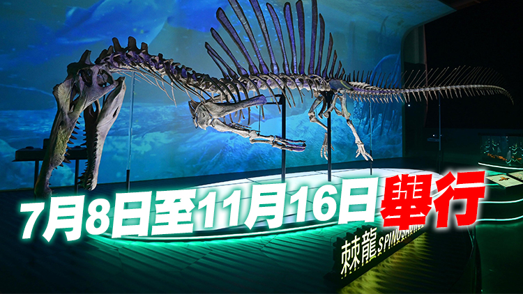 科學館大型恐龍展本周五起免費睇 展出8組化石標本及復原骨架