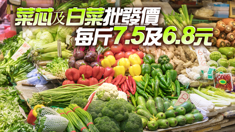 5日內地供港蔬菜逾2800公噸 本港鮮活食品供應充足