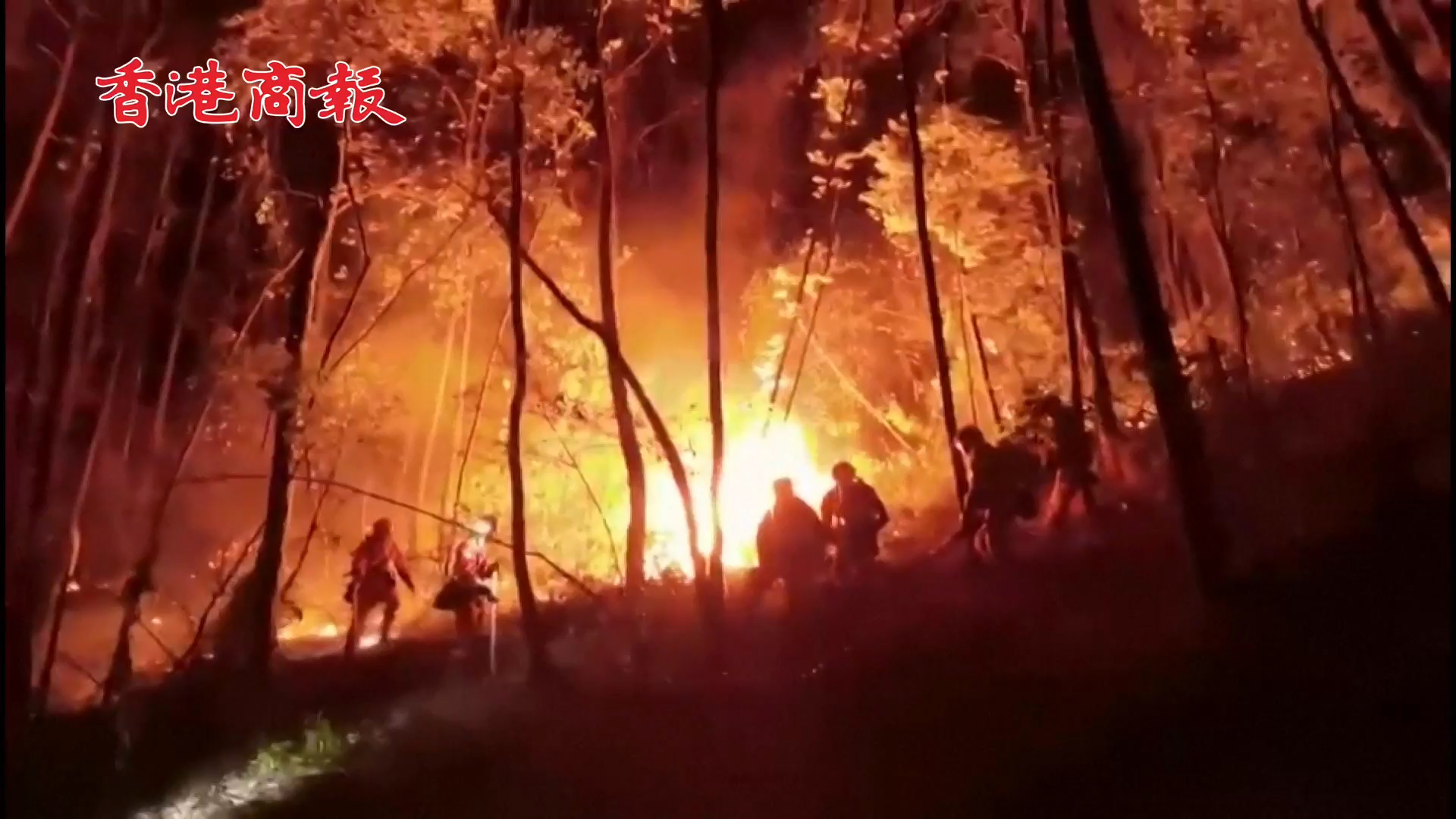 有片 | 眾志成城撲滅山火 馳援消防官兵感嘆：重慶人民身上有「英雄氣」