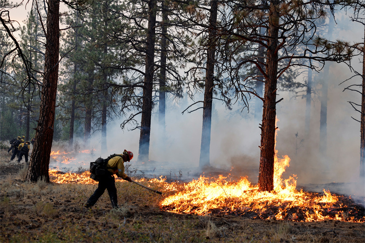 加州野火蔓延近4000英畝 數千人緊急撤離