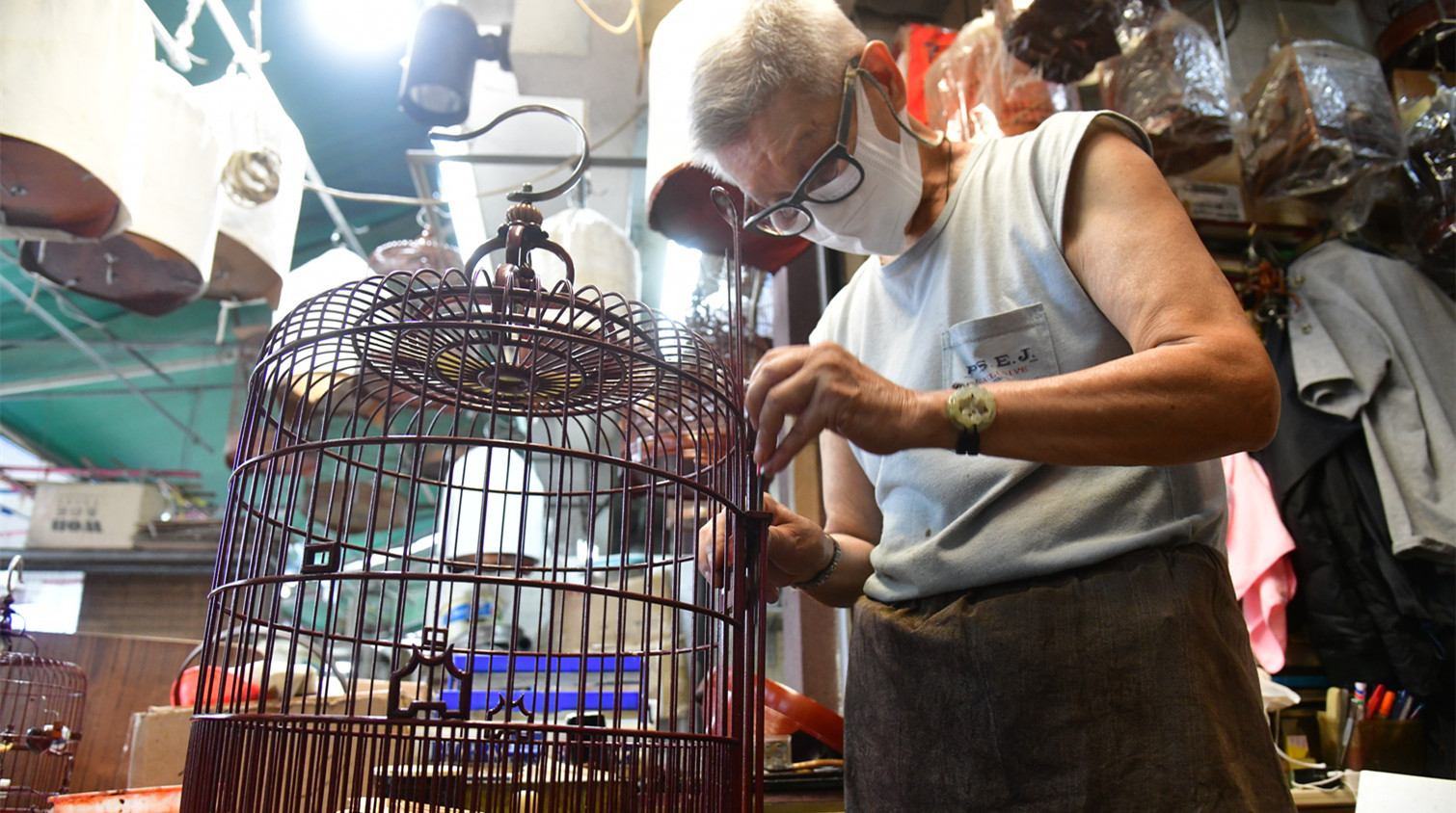 圖集｜手造雀籠如藝術品 讓鳥兒有個安樂窩