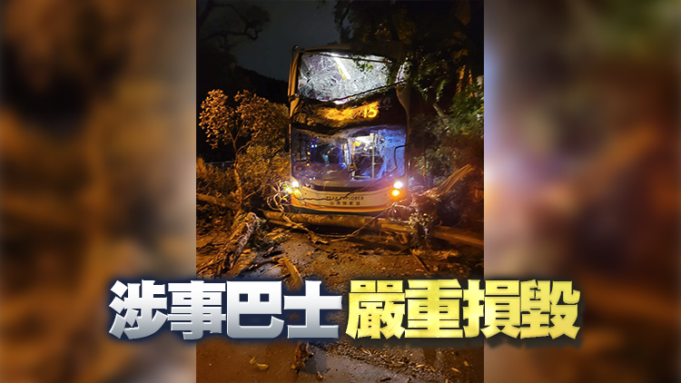 山頂道有樹木倒塌擊中巴士 至少7乘客受傷