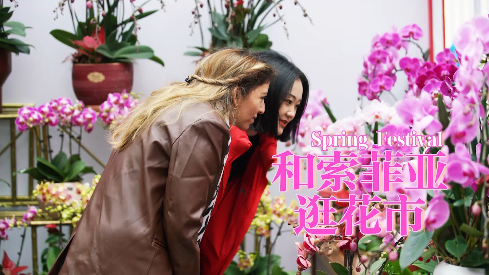 有片 | 深圳有滋味 第43期：和索菲亞逛花市，與春天撞個滿懷
