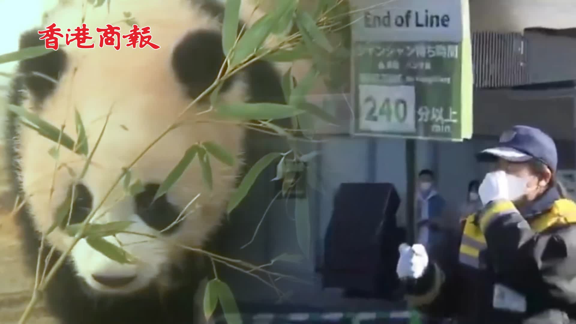 有片 | 為與旅日大熊貓「香香」告別 東京上野動物園排起長隊