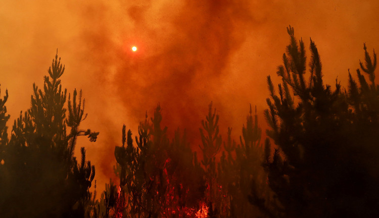 智利森林火災死亡人數升至23人 979人受傷