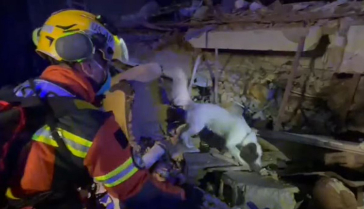 土耳其地震｜本港救援隊抵達災場 出動搜救犬及無人機搜索生還者