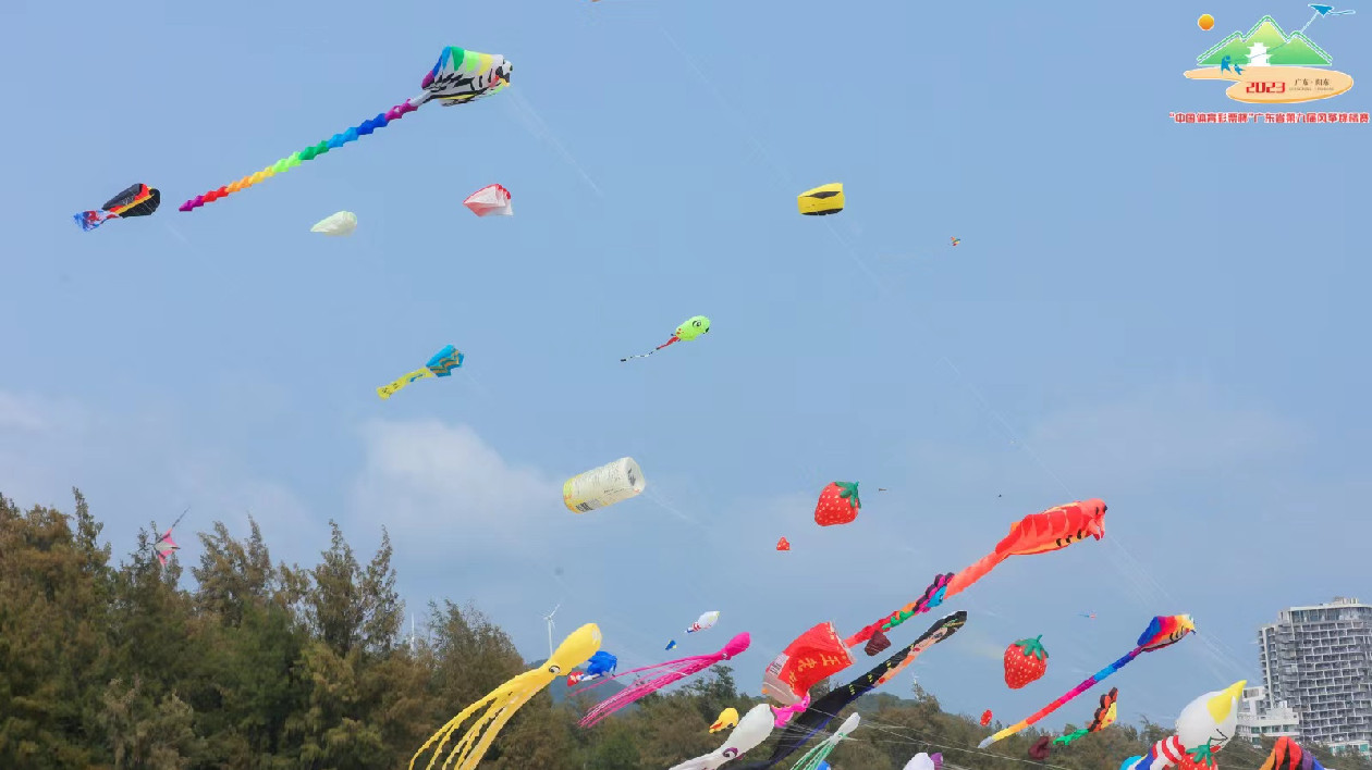 不負春光「箏」當時！這場省級風箏錦標賽在陽江順利舉行