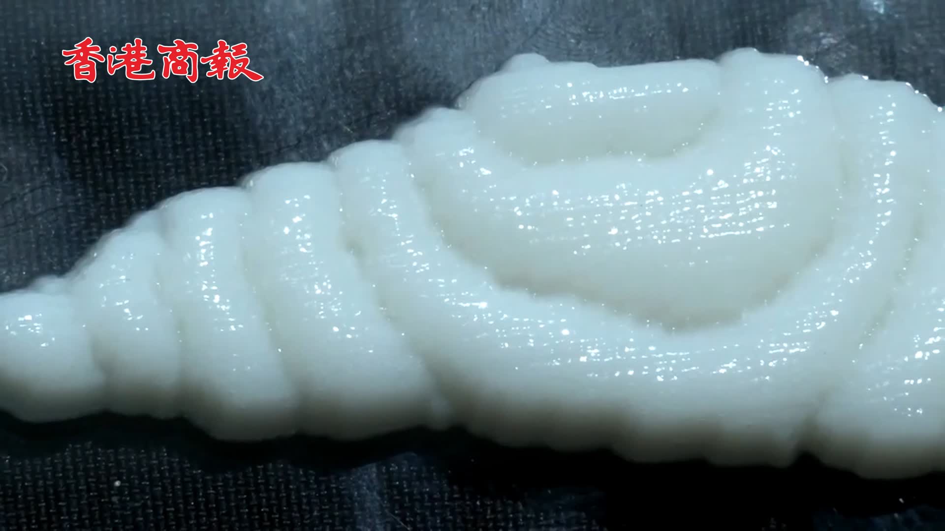 有片｜ 世界第一塊3D打印即食魚肉