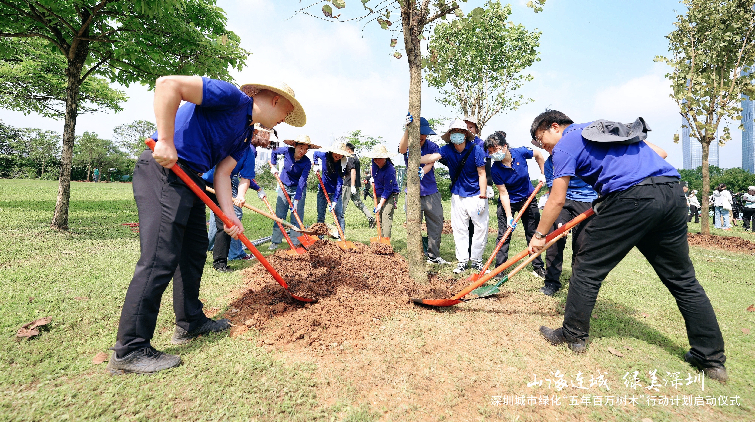 深圳啟動「五年百萬樹木」計劃 政協委員聯手植樹點綴城市