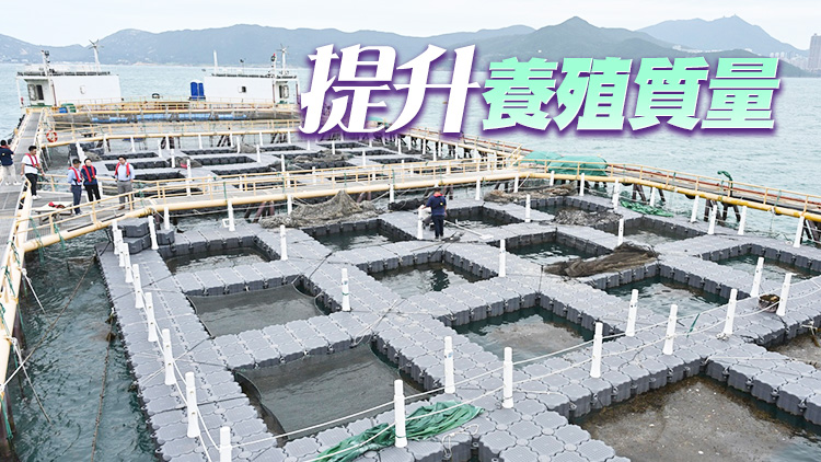 漁護署引入養魚網箱技術 為漁業添動力