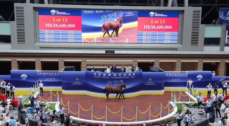 2023香港國際馬匹拍賣會15駒悉數售出  總成交7160萬 馬會賺1234萬
