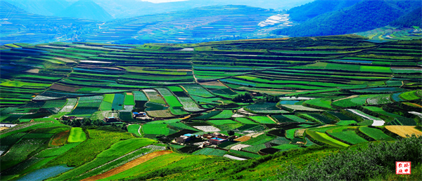 津寧河攜手隴榆中推農業產業園高質量發展