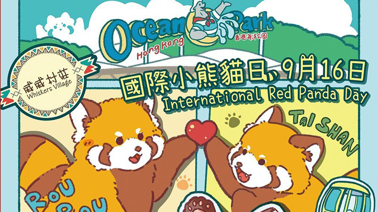 海洋公園「國際小熊貓日」大派粉絲福利（附詳情）