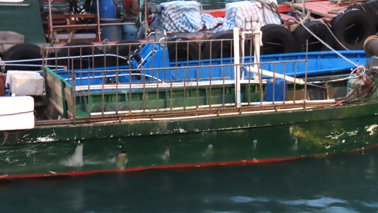 漁護署起訴3名內地男 涉於上白泥附近香港水域非法捕魚