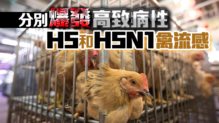 本港暫停進口日本和美國部分地區禽肉及禽類產品