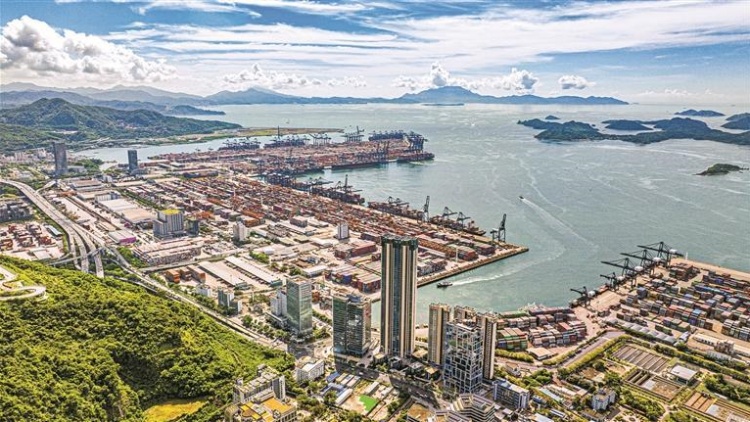 「大灣區組合港」讓資源要素流動更高效便捷 去年進出口箱量增長47.8%