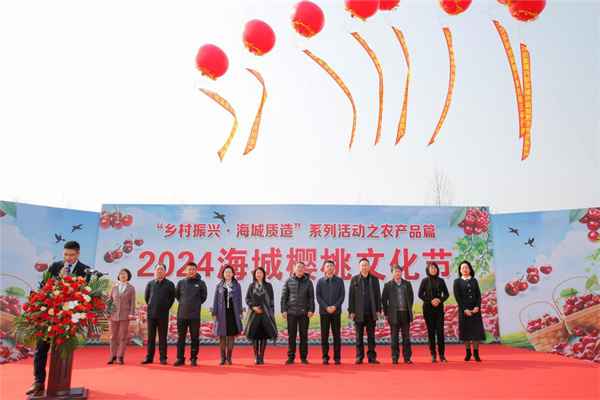 有片|海城之約「櫻」為有你  2024遼寧海城櫻桃文化節開幕