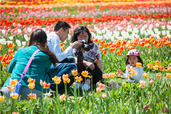 天津武清:推动高质量绿色可持续发展 谱写新时