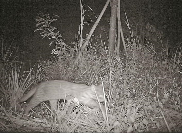 1630893976407446.jpg 2.jpg